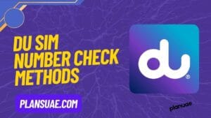How to Check DU Number in the UAE (2025)