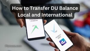 How to Transfer DU Balance – Quick Guide