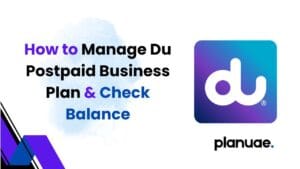 How to Manage Du Postpaid Business Plan & Check Balance