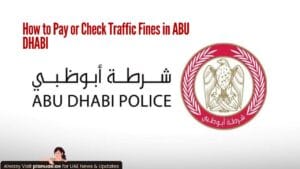 How to Check Abu Dhabi Traffic Fine? Complete Guide