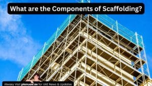 What are the Components of Scaffolding?