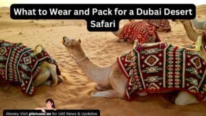 What to Wear and Pack for a Dubai Desert Safari