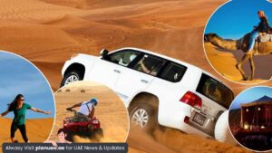 What to Expect from the Best Dubai Desert Safari