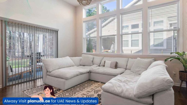 Couch with Cushions