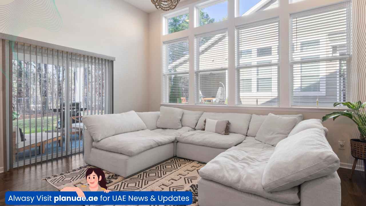 Couch with Cushions 1